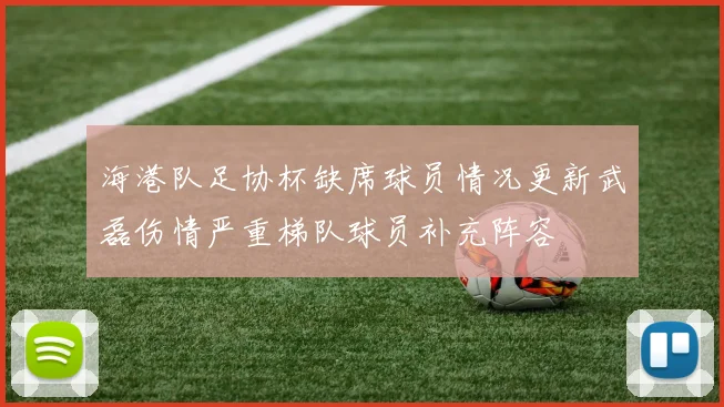 海港队足协杯缺席球员情况更新武磊伤情严重梯队球员补充阵容
