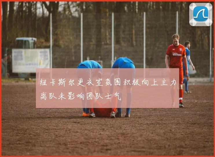 纽卡斯尔更衣室氛围积极向上主力离队未影响团队士气
