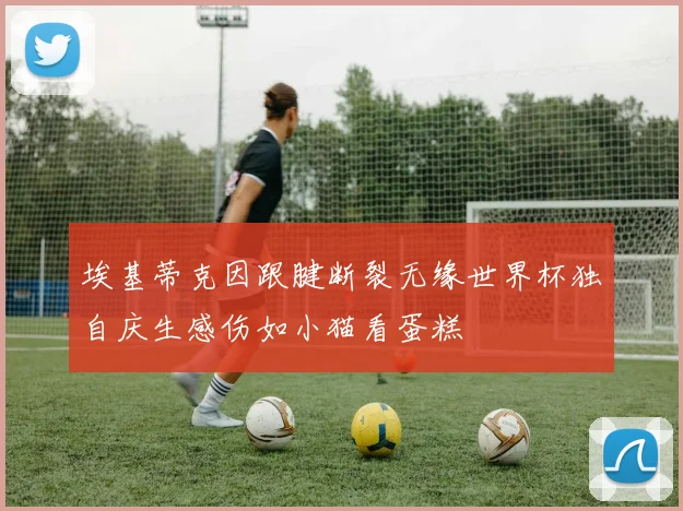 埃基蒂克因跟腱断裂无缘世界杯独自庆生感伤如小猫看蛋糕