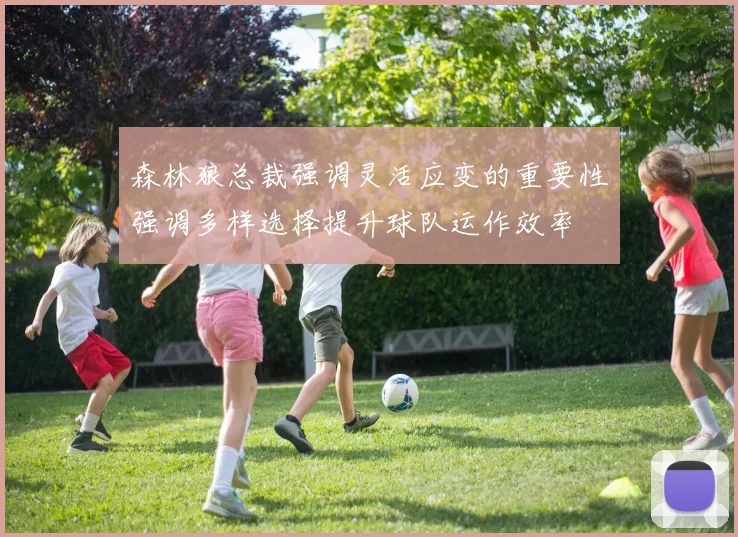 森林狼总裁强调灵活应变的重要性强调多样选择提升球队运作效率